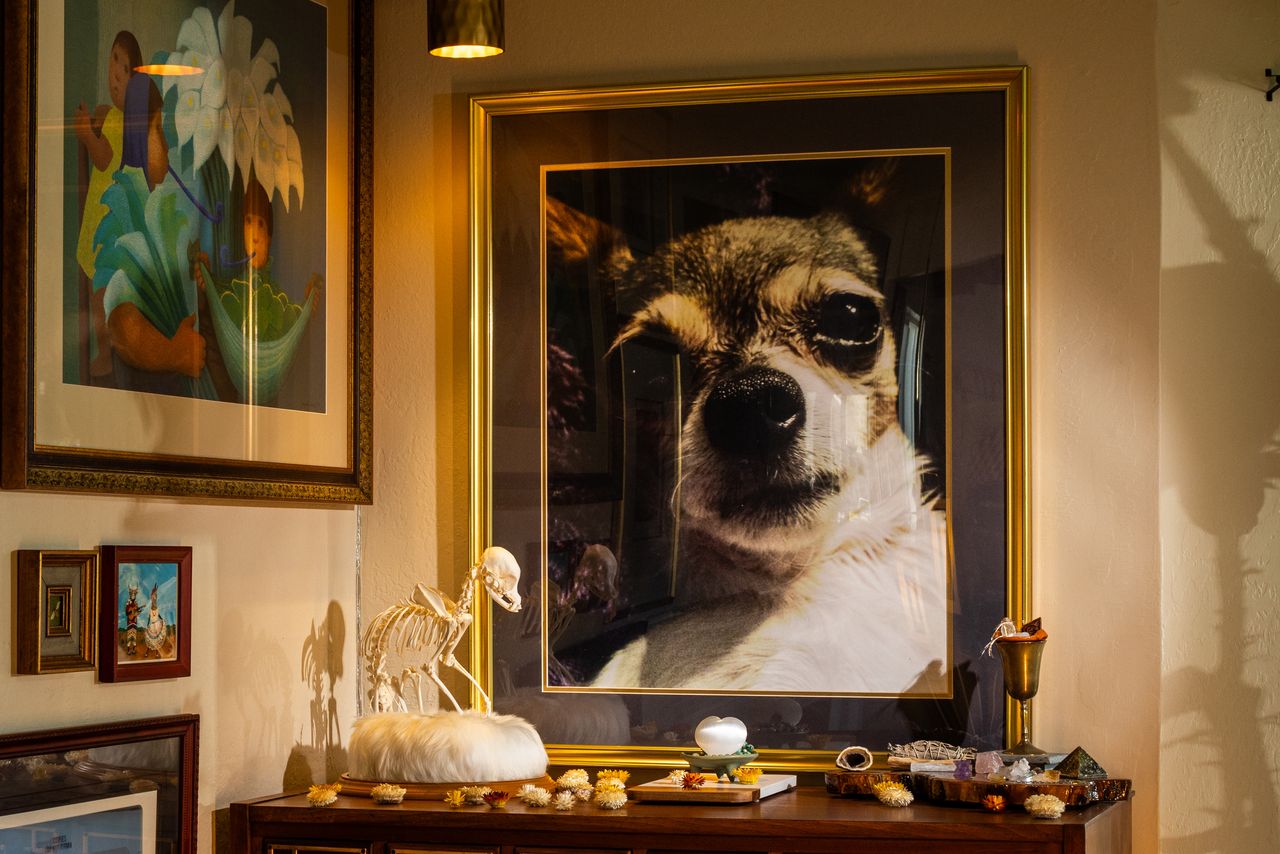 Owners are honoring deceased pets with taxidermy and customised urns. Mari Moore preserved the bones of her dog, Shirley (above). HELYNN OSPINA FOR THE WALL STREET JOURNAL
